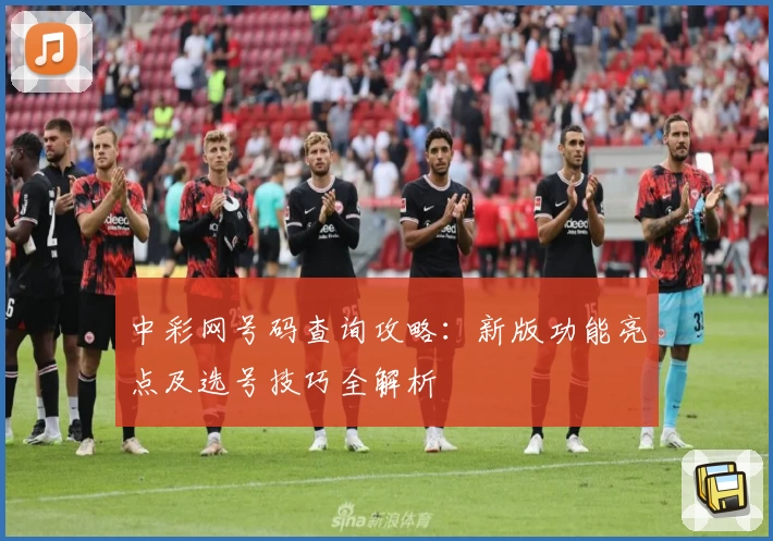 中彩网号码查询攻略：新版功能亮点及选号技巧全解析
