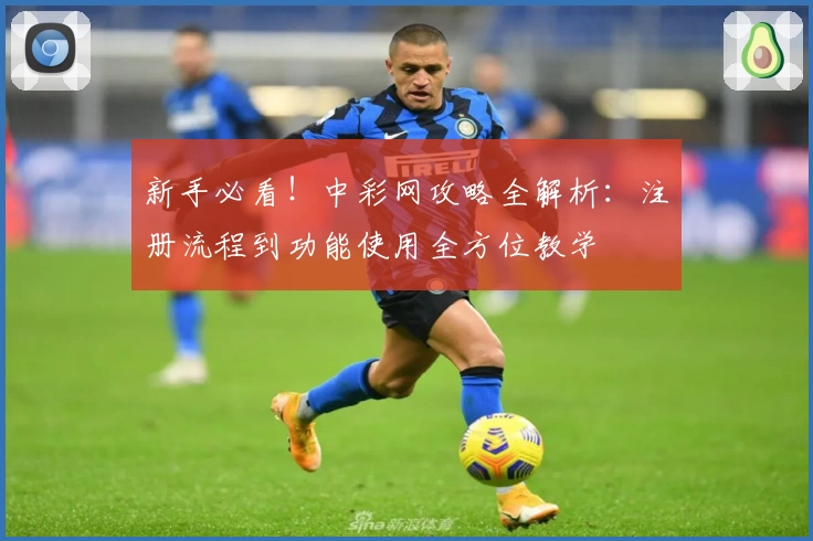 新手必看！中彩网攻略全解析：注册流程到功能使用全方位教学