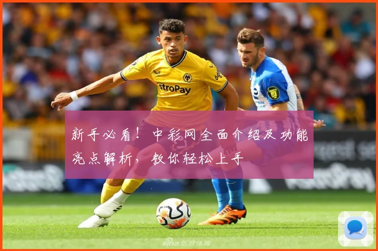 新手必看！中彩网全面介绍及功能亮点解析，教你轻松上手